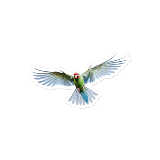 Alexandrine Parakeet Sticker - Stickerfy.ai