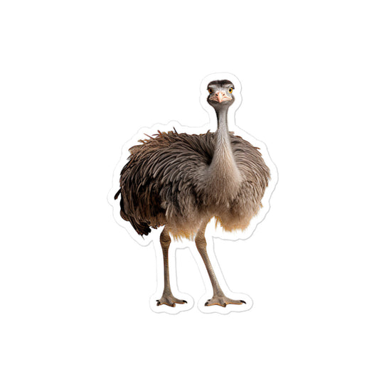 Ostrich Sticker - Stickerfy.ai