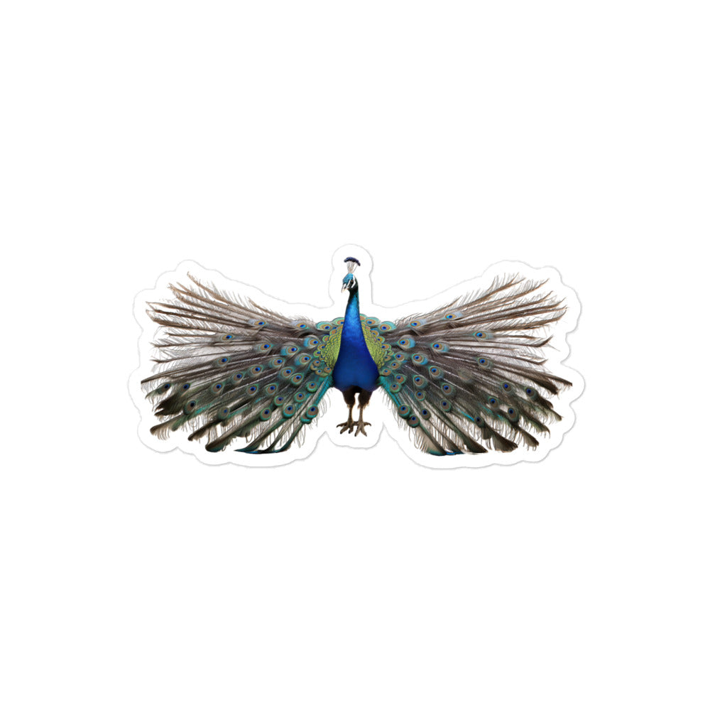 Peacock Sticker - Stickerfy.ai