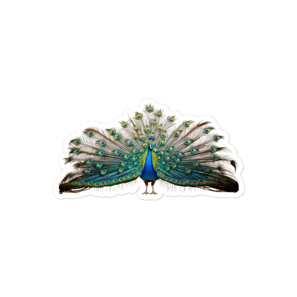 Peacock Sticker - Stickerfy.ai