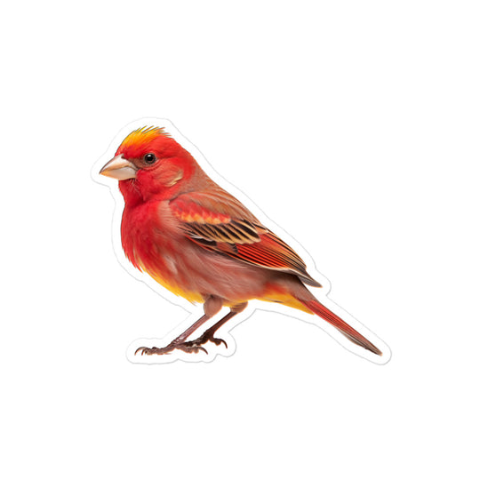 Red Factor Canary Sticker - Stickerfy.ai