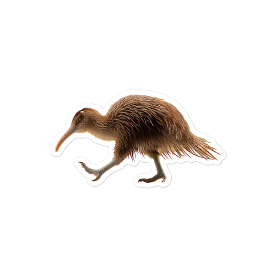 Kiwi Sticker - Stickerfy.ai