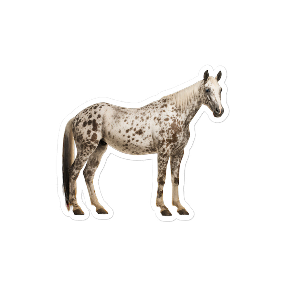 Appaloosa Horse Sticker - Stickerfy.ai