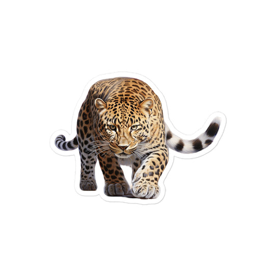 Amur Leopard Sticker - Stickerfy.ai