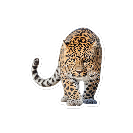 Amur Leopard Sticker - Stickerfy.ai