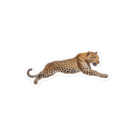 Amur Leopard Sticker - Stickerfy.ai