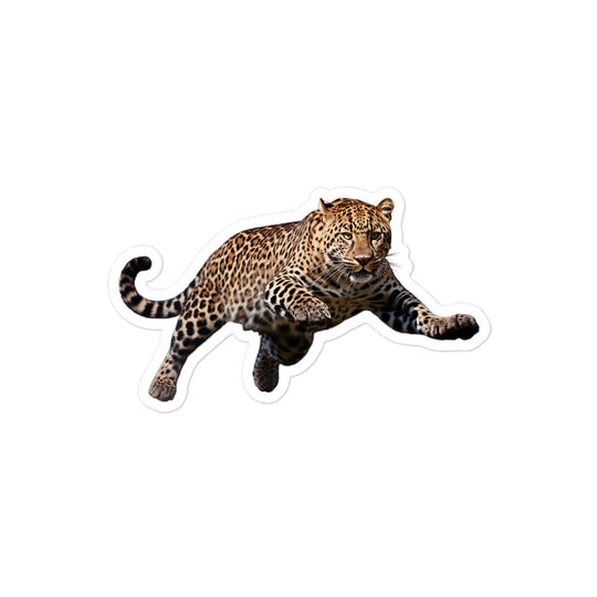 Amur Leopard Sticker - Stickerfy.ai