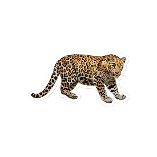 Amur Leopard Sticker - Stickerfy.ai