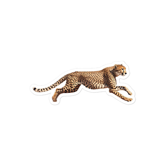 Cheetah Sticker - Stickerfy.ai