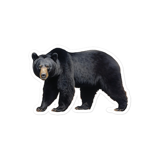 Black Bear Sticker - Stickerfy.ai