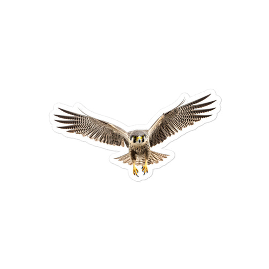 Peregrine Falcon Sticker - Stickerfy.ai