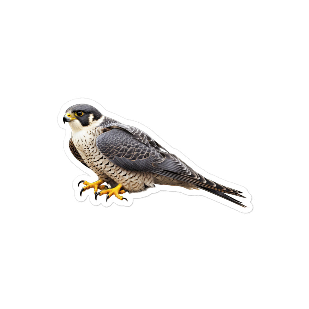 Peregrine Falcon Sticker - Stickerfy.ai