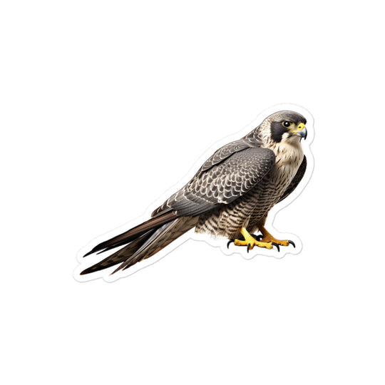 Peregrine Falcon Sticker - Stickerfy.ai