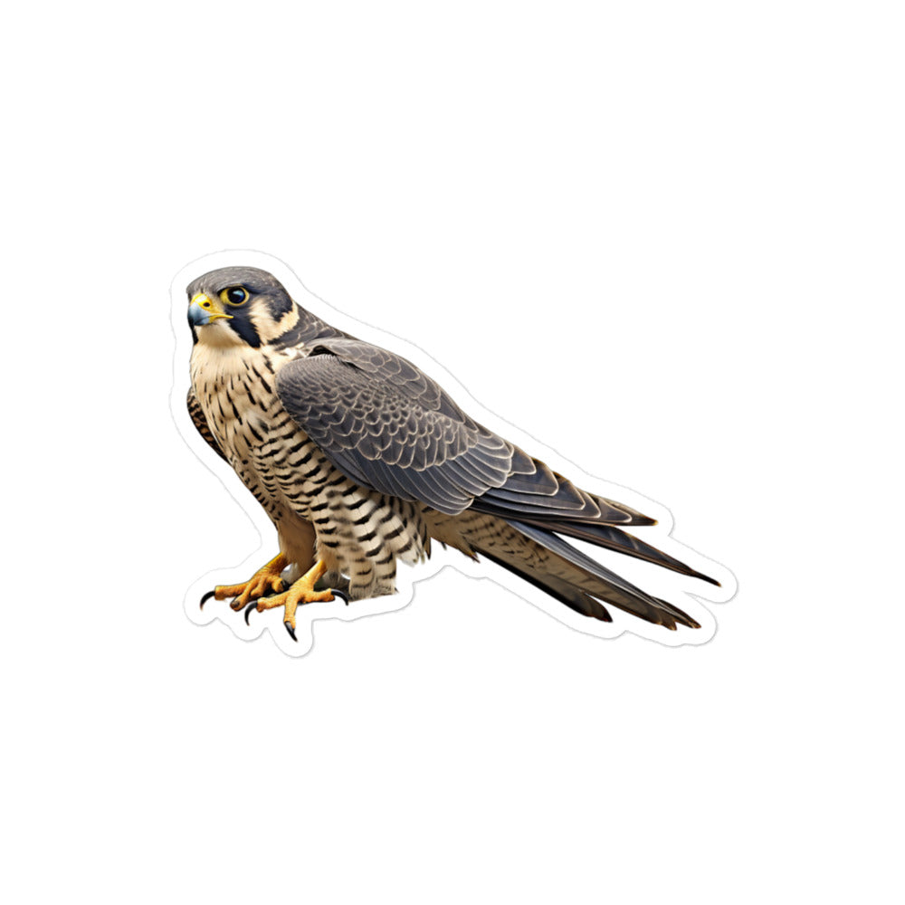 Peregrine Falcon Sticker - Stickerfy.ai