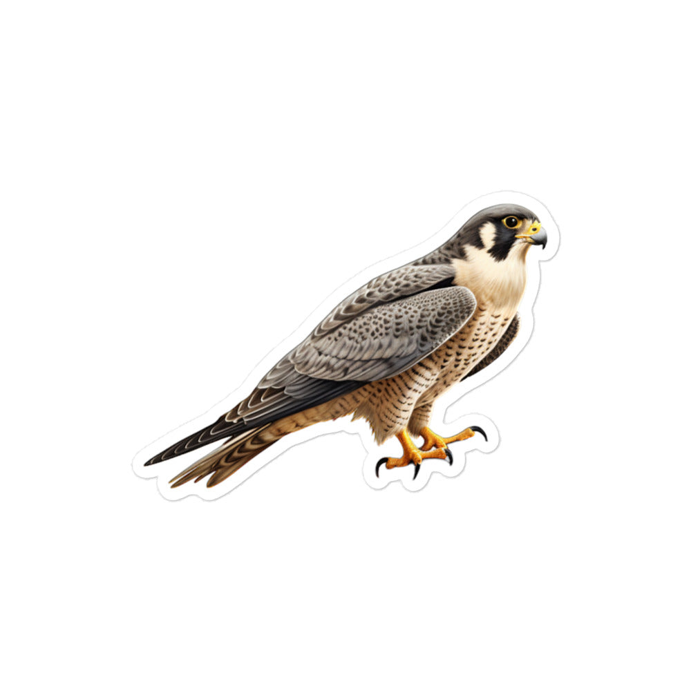 Peregrine Falcon Sticker - Stickerfy.ai