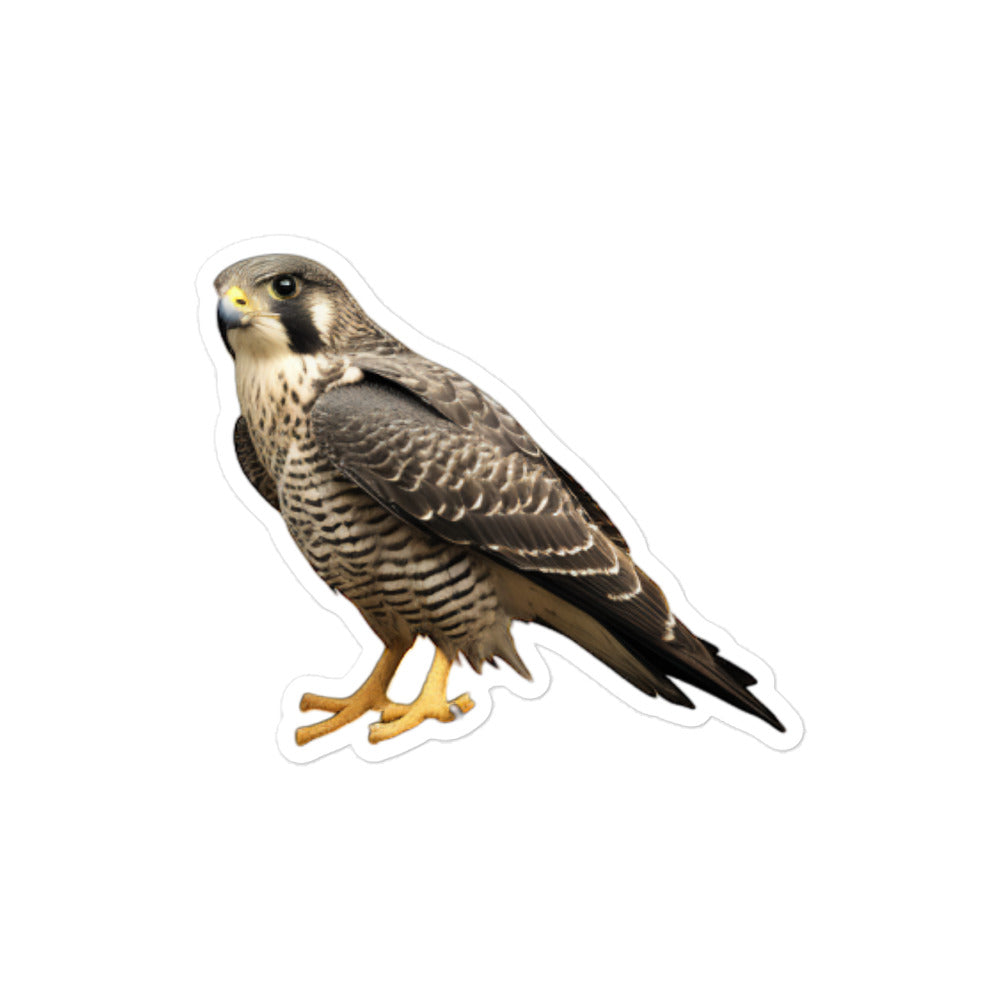 Peregrine Falcon Sticker - Stickerfy.ai