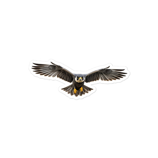 Peregrine Falcon Sticker - Stickerfy.ai