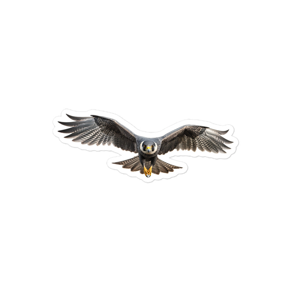 Peregrine Falcon Sticker - Stickerfy.ai