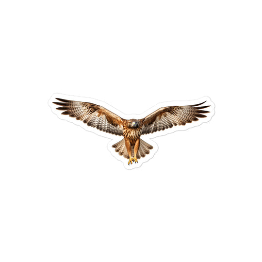 Red Tailed Hawk Sticker - Stickerfy.ai