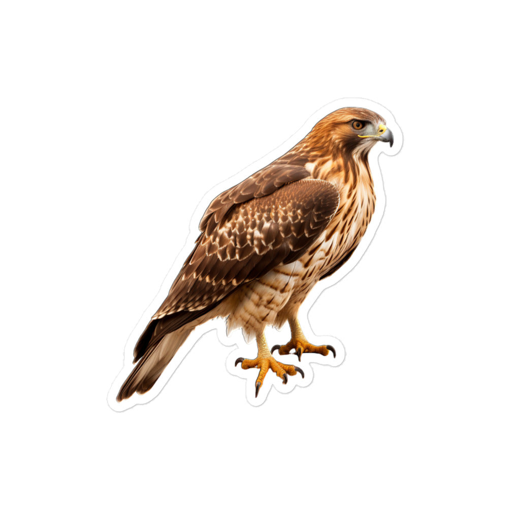 Red Tailed Hawk Sticker - Stickerfy.ai