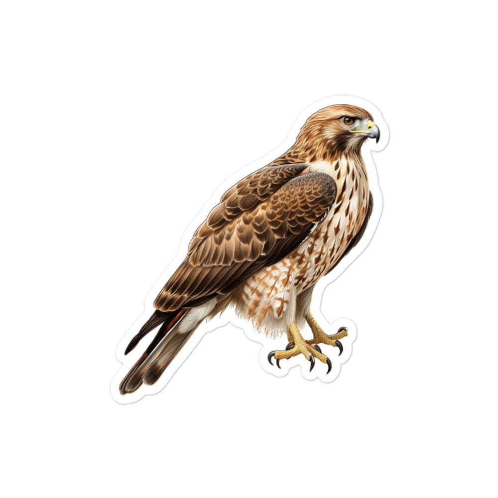 Red Tailed Hawk Sticker - Stickerfy.ai