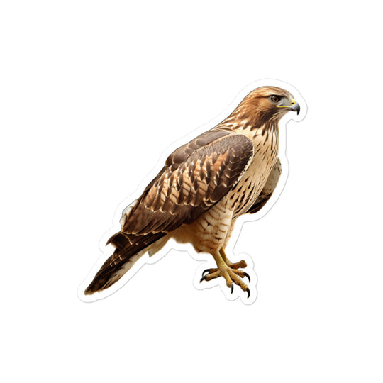 Red Tailed Hawk Sticker - Stickerfy.ai