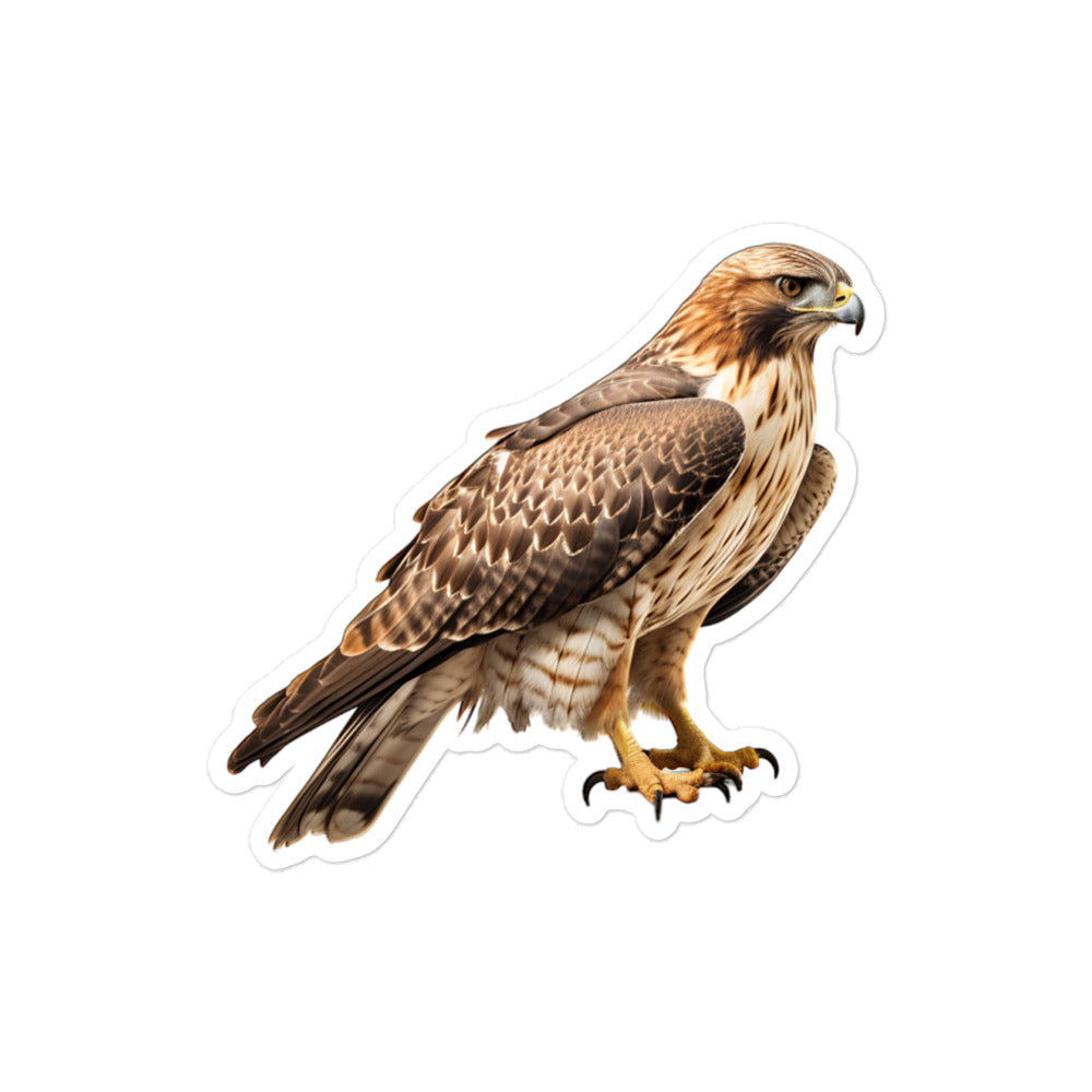 Red Tailed Hawk Sticker - Stickerfy.ai