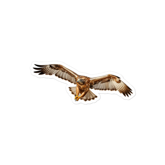 Red Tailed Hawk Sticker - Stickerfy.ai