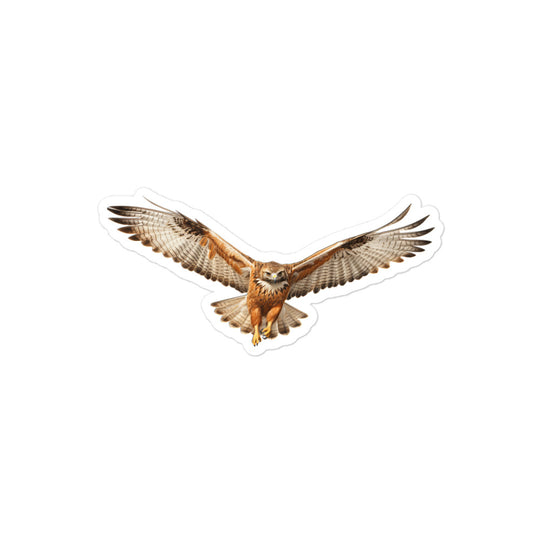 Red Tailed Hawk Sticker - Stickerfy.ai