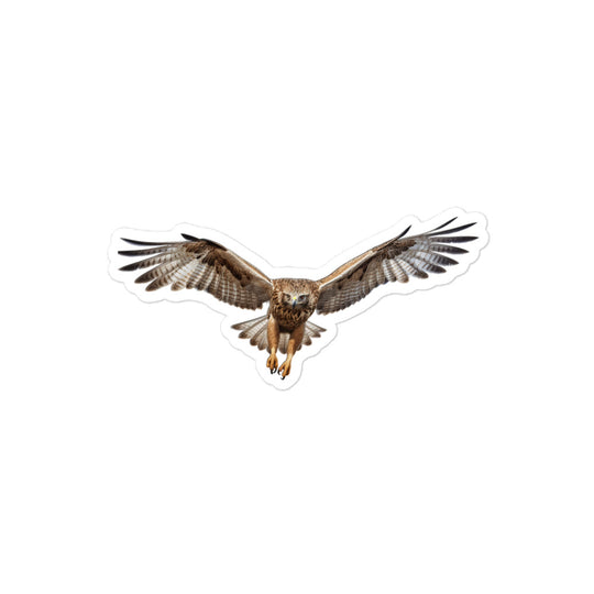 Red Tailed Hawk Sticker - Stickerfy.ai