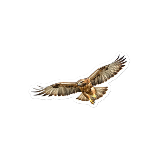 Red Tailed Hawk Sticker - Stickerfy.ai