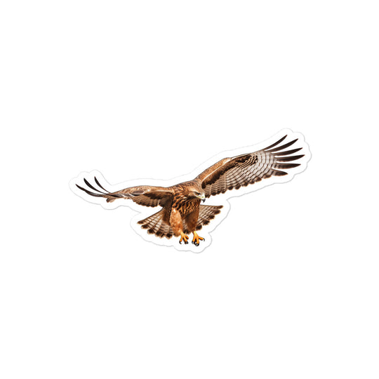 Red Tailed Hawk Sticker - Stickerfy.ai