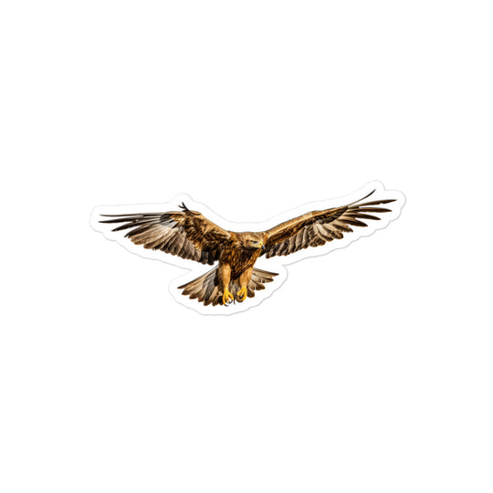 Golden Eagle Sticker - Stickerfy.ai