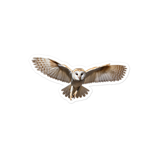 Barn Owl Sticker - Stickerfy.ai