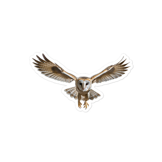 Barn Owl Sticker - Stickerfy.ai