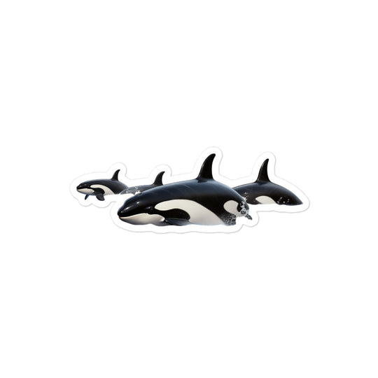 Orcas Sticker - Stickerfy.ai