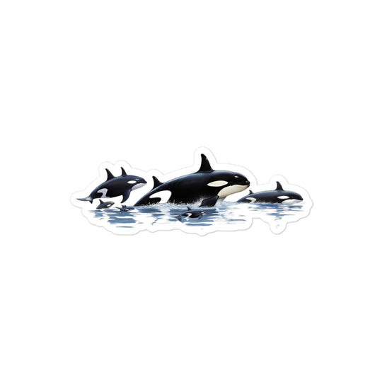 Orcas Sticker - Stickerfy.ai