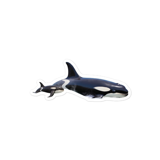 Orcas Sticker - Stickerfy.ai