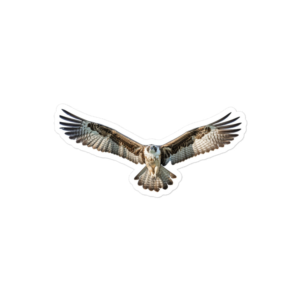 Osprey Sticker