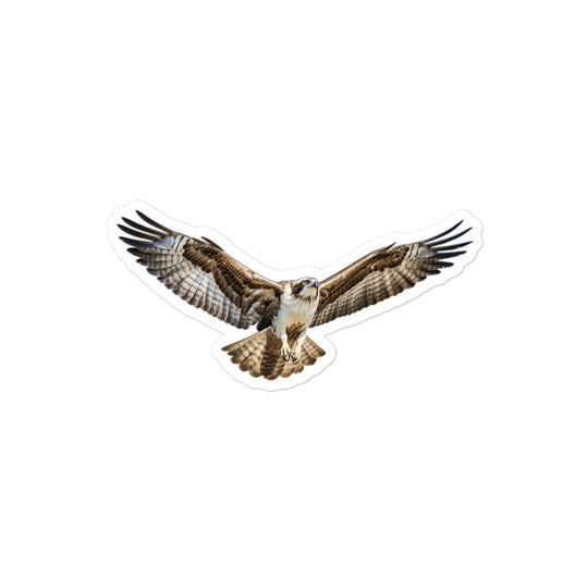 Osprey Sticker