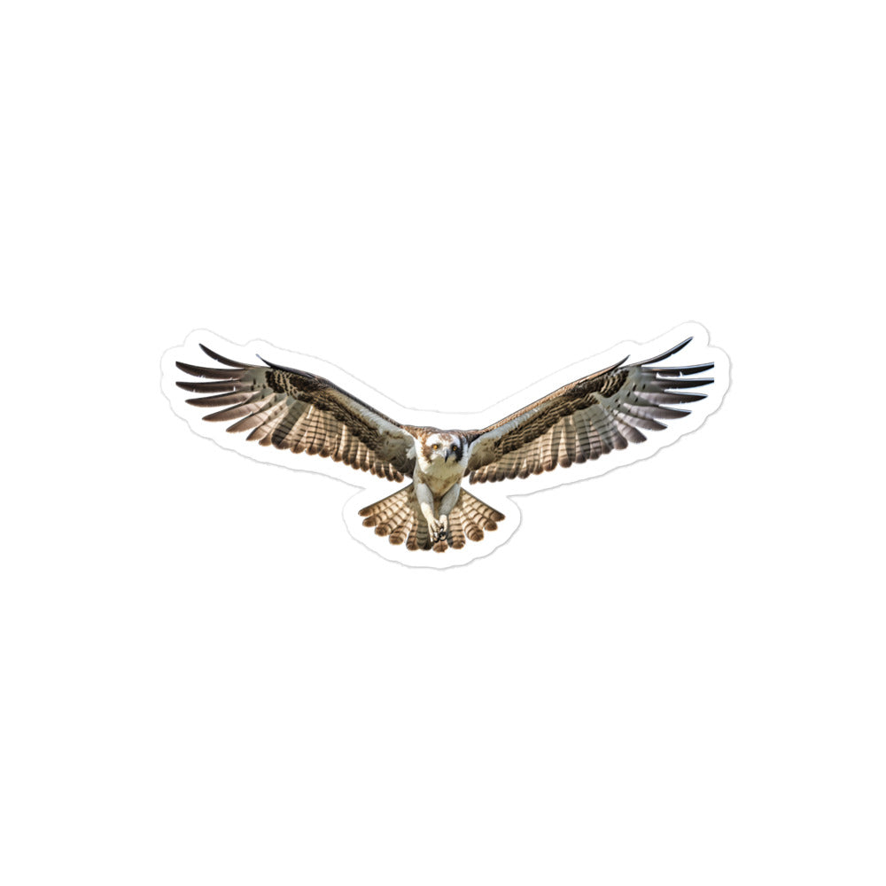 Osprey Sticker