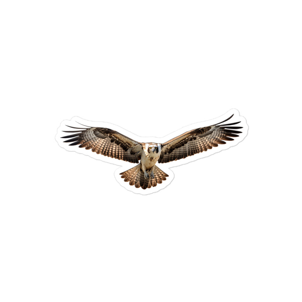 Osprey Sticker