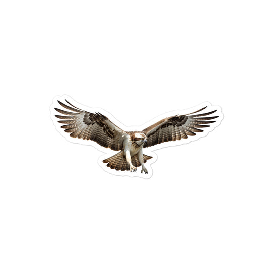 Osprey Sticker