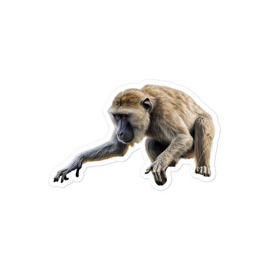 Baboon Sticker