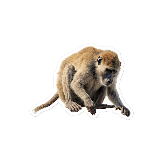 Baboon Sticker