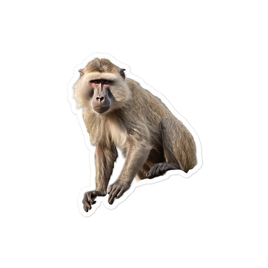 Baboon Sticker