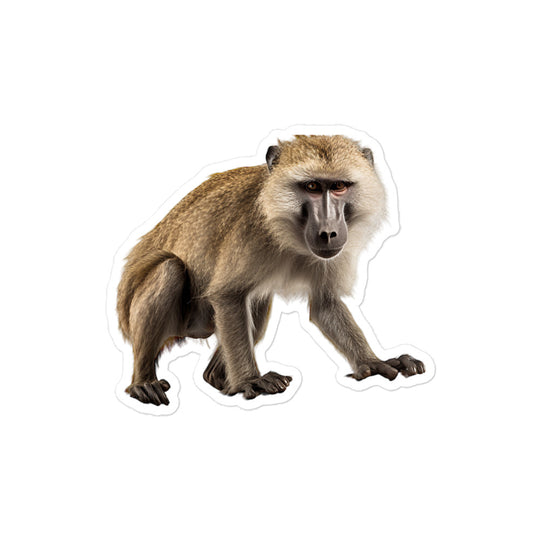 Baboon Sticker