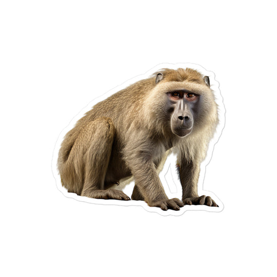 Baboon Sticker