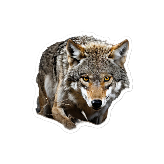 Coyote Sticker