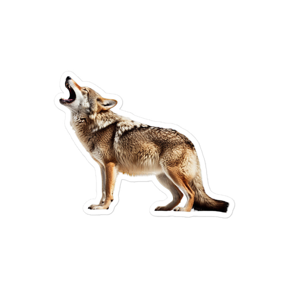 Coyote Sticker